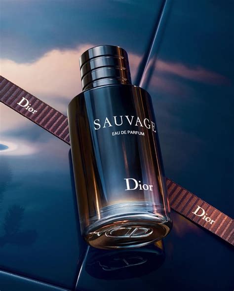 profumo dior sauvage equivalente pinioni|sauvage perfume dior.